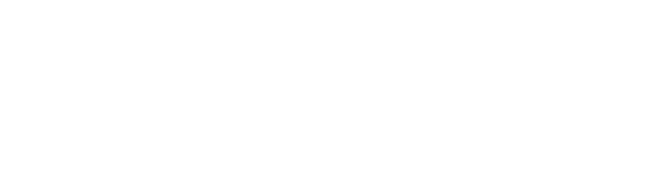 MisAsiM